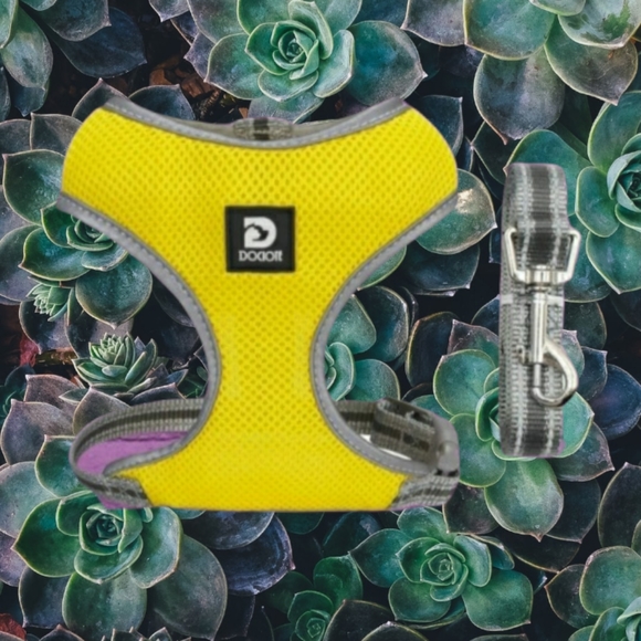 Dociote Other - Vest Harness Adjustable Reflective Step in Harness Leash Set